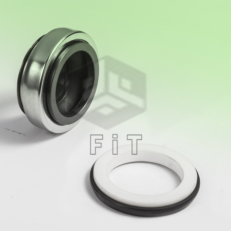 Elastomer bellow mekaniska förseglingar FT301